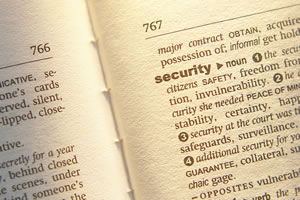 Security Consultants and Litigation Support